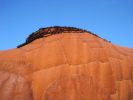 PICTURES/Borrega Springs Sculptures - Horses, Sheep & Camel/t_IMG_8815.JPG